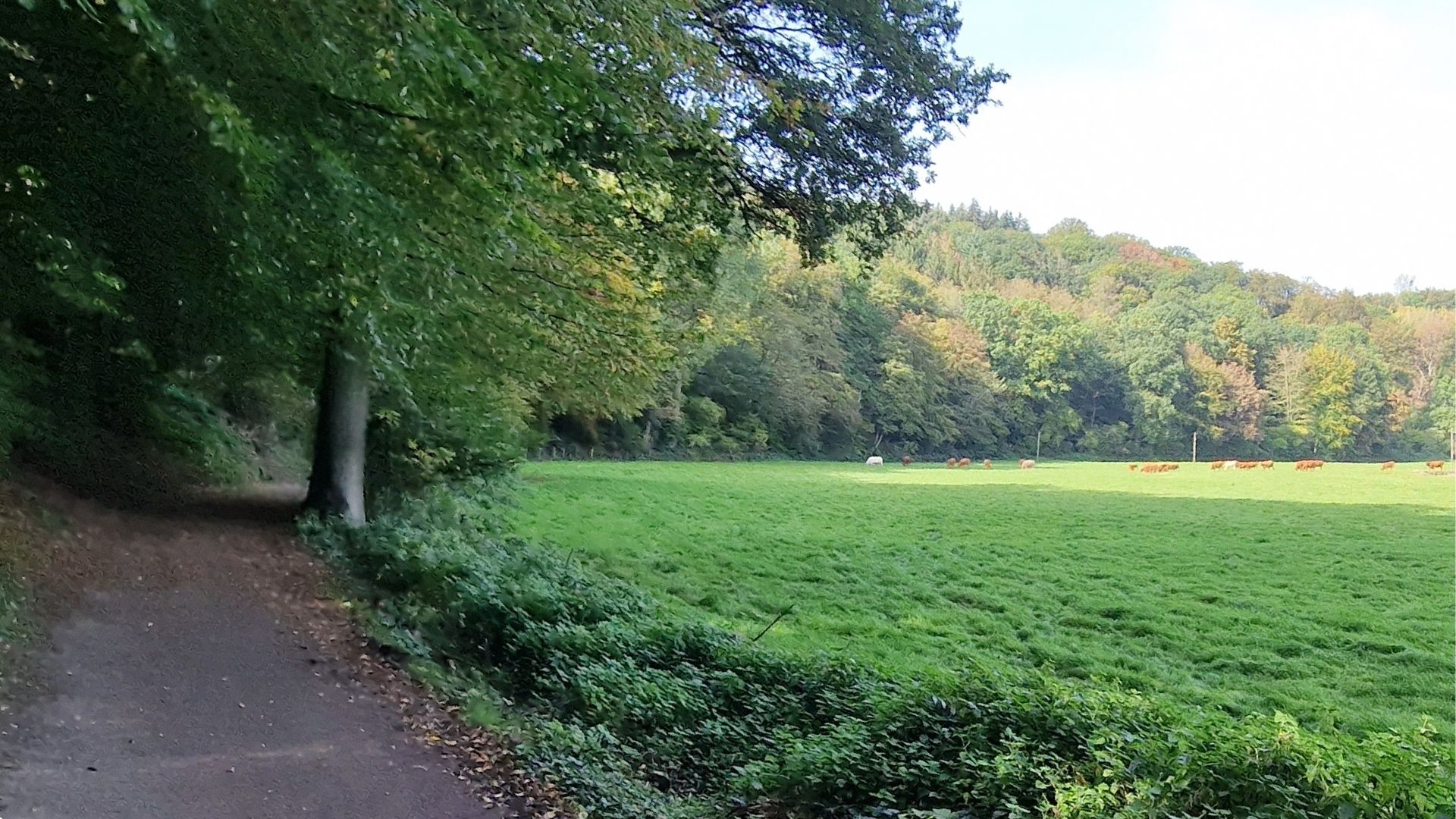 Fahrradtour-Teuterhof