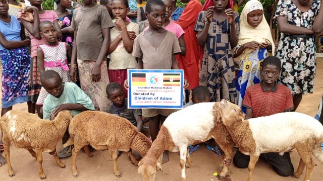 Uganda im Dezember: Der bisher stärkste Monat