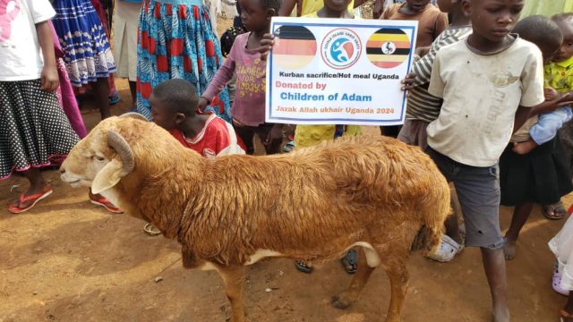 Uganda im Januar: Neues Jahr, gleiches Ziel